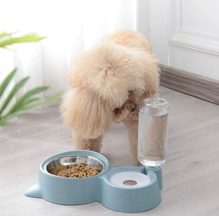 2-in-1 Pet Food & Water Feeder – Stainless Steel Bowl