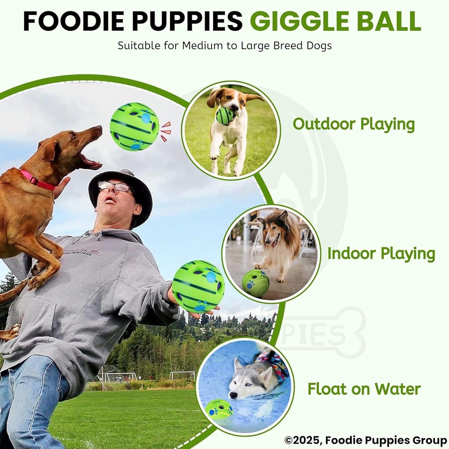 Interactive Giggle Squeaky Dog Ball | Durable Chew Toy & IQ Play