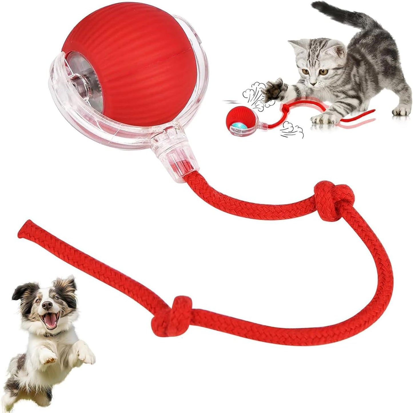 360° Smart Cat Dancing Ball Toy | Automatic Rolling & Chase Fun