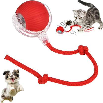 360° Smart Cat Dancing Ball Toy | Automatic Rolling & Chase Fun