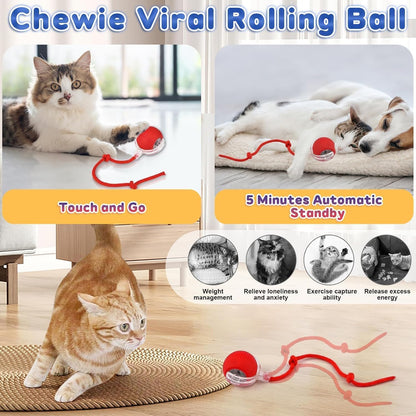 360° Smart Cat Dancing Ball Toy | Automatic Rolling & Chase Fun