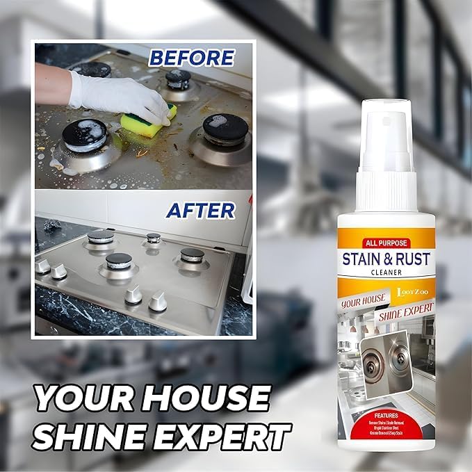 2 IN 1 STAIN and RUST REMOVER SPRAY Stain Removal Cleaning Solution