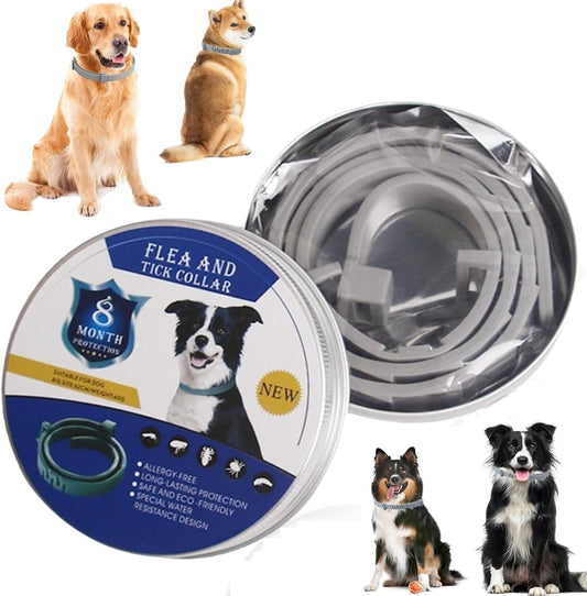 Dog Flea & Tick Collar – Adjustable, Waterproof Protection